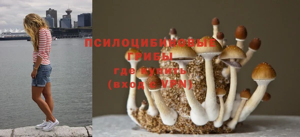 ешки Абинск