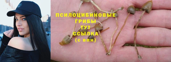 jwh Абаза