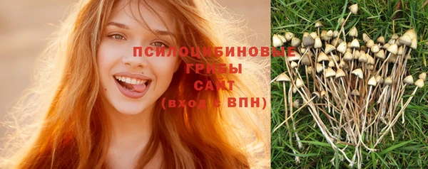 ешки Абинск
