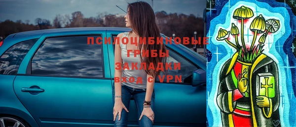 ешки Абинск
