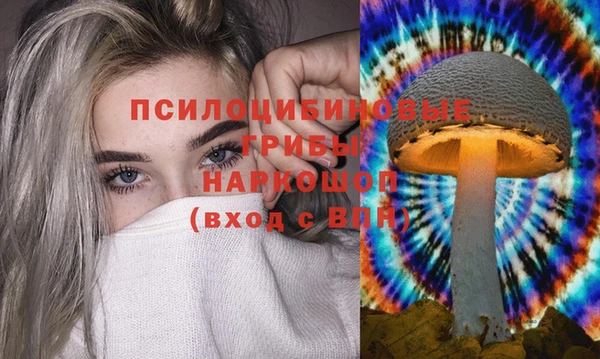 jwh Абаза