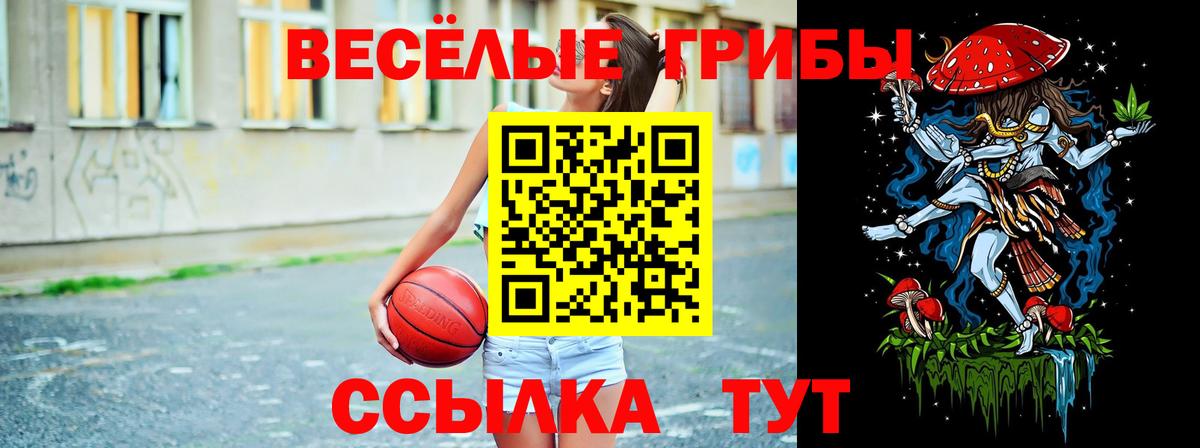 Галлюциногенные грибы ЛСД  Галлюциногенные грибы GOLDEN TEACHER  купить наркоту  Вход с VPN  Омск 